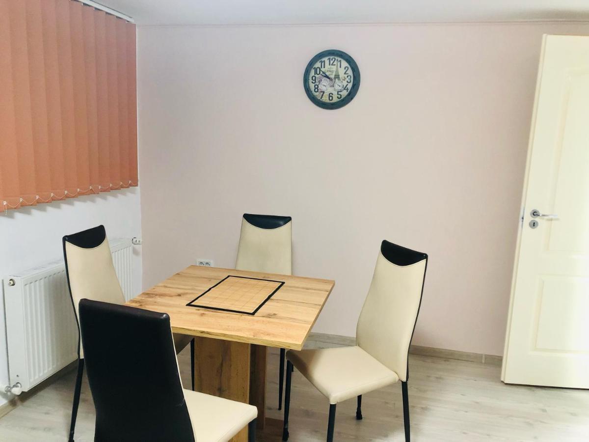 Central Park - Big Apartment - 3 Rooms - Free Parking T5 Temesvár Kültér fotó