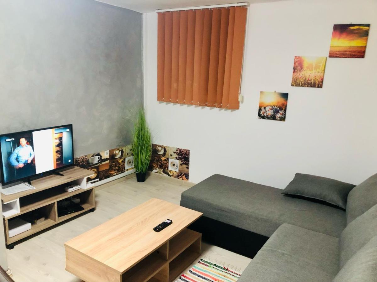 Central Park - Big Apartment - 3 Rooms - Free Parking T5 Temesvár Kültér fotó