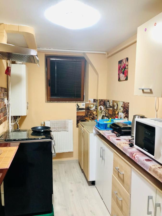 Central Park - Big Apartment - 3 Rooms - Free Parking T5 Temesvár Kültér fotó