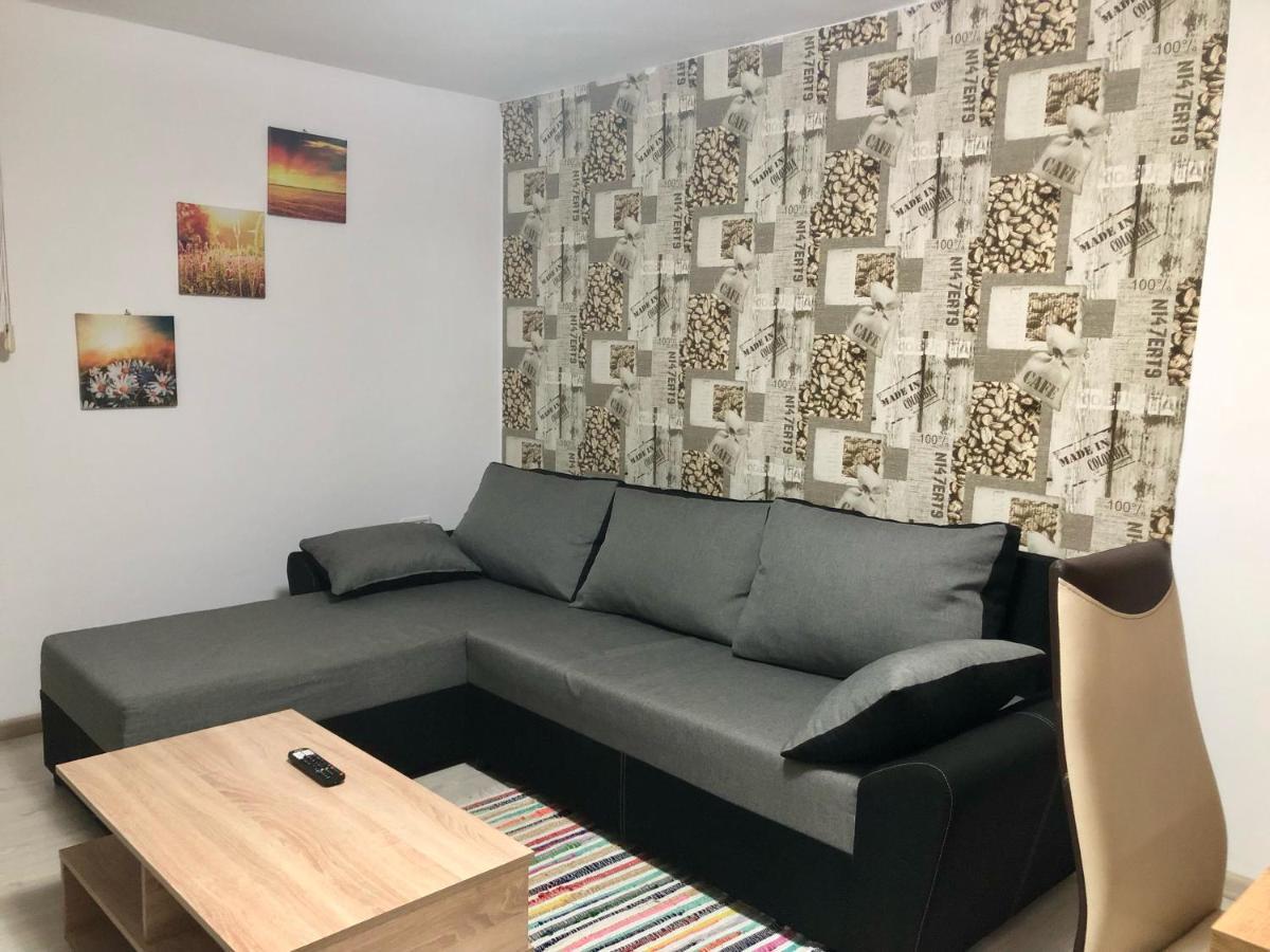Central Park - Big Apartment - 3 Rooms - Free Parking T5 Temesvár Kültér fotó
