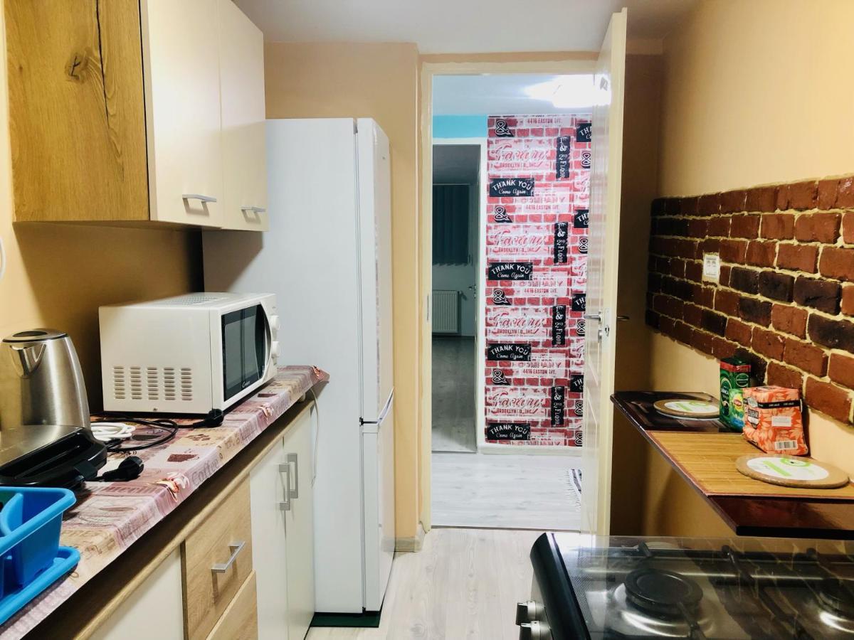 Central Park - Big Apartment - 3 Rooms - Free Parking T5 Temesvár Kültér fotó