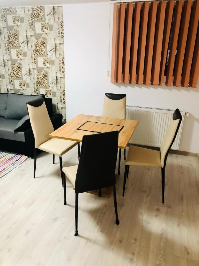 Central Park - Big Apartment - 3 Rooms - Free Parking T5 Temesvár Kültér fotó