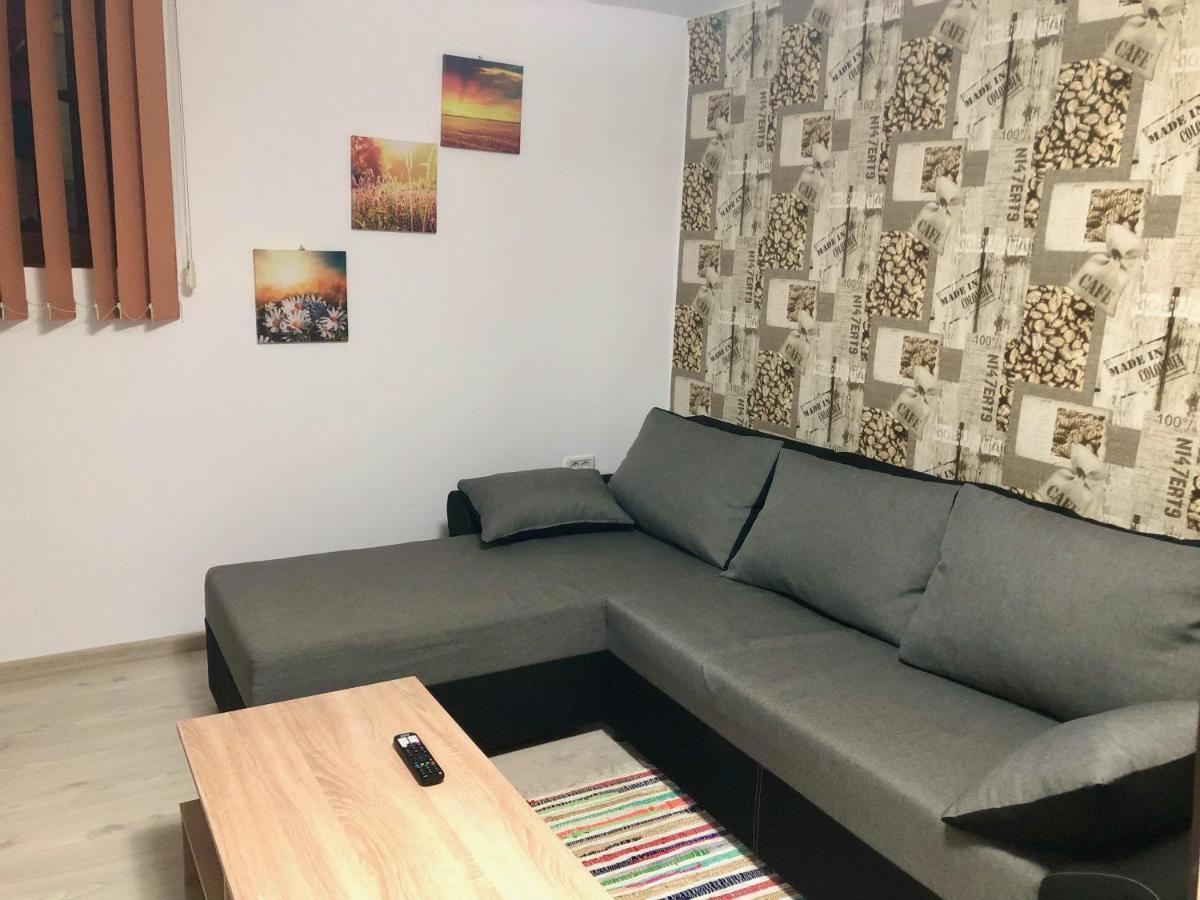 Central Park - Big Apartment - 3 Rooms - Free Parking T5 Temesvár Kültér fotó