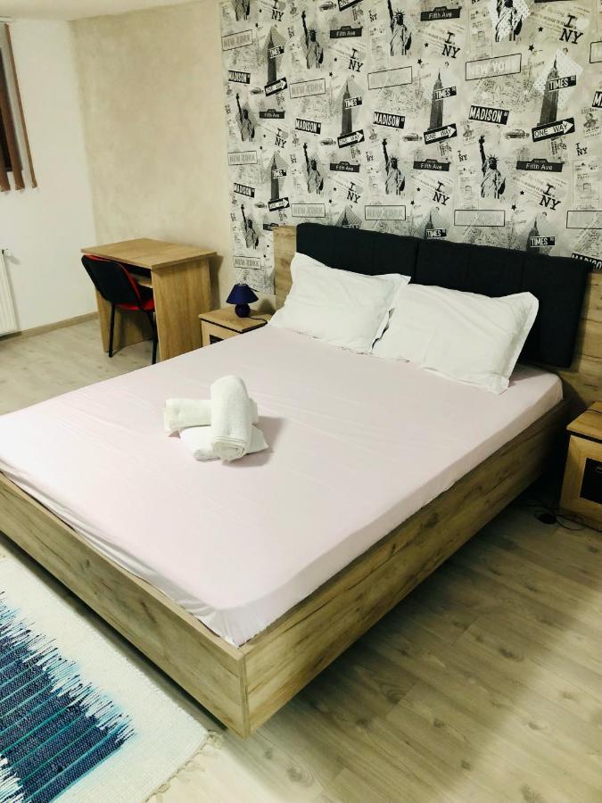 Central Park - Big Apartment - 3 Rooms - Free Parking T5 Temesvár Kültér fotó