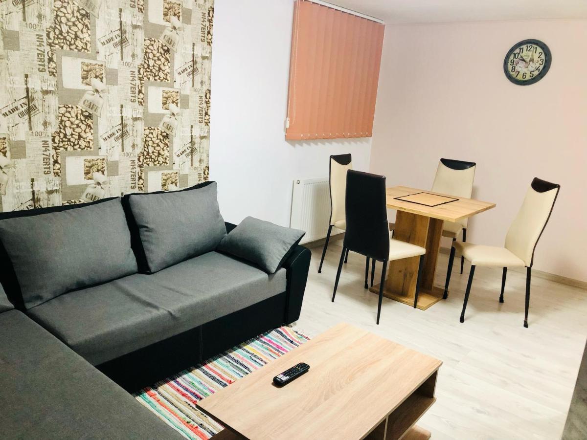 Central Park - Big Apartment - 3 Rooms - Free Parking T5 Temesvár Kültér fotó